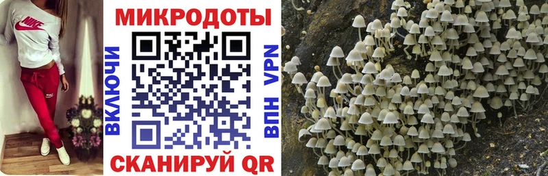 купить закладку  Пойковский  Псилоцибиновые грибы ЛСД 